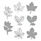 Preview: Spellbinder Autumn Leaves Press Plate & Die Set