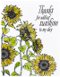Preview: Spellbinders Sunflower Field Press Plate