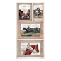 Preview: Stamperia Collectables 10 sheets Romantic Horses