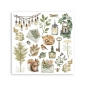 Preview: Stamperia Rub-On 10,16 x 21,6 cm Assortment Herbarium Silvae