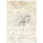 Preview: Stamperia A6 Rice Paper Backgrounds Selection All Around
