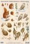 Preview: Reddy 3D Stanzbogen-Set Weihnachten 2013 Waldtiere im Winter