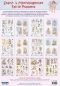 Preview: Reddy Cards Stanz- und Motivbogenset Fairie Poppets