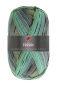 Preview: PRO LANA Golden Socks Sockenwolle Stretch TESSIN Farbe 357 Farbe 01