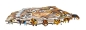 Preview: Unidragon Holz Puzzle "L" 273 Teile  Lovely Tiger