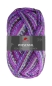 Preview: PRO LANA Golden Socks Wiesental Farbe 598