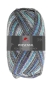 Preview: PRO LANA Golden Socks Wiesental Farbe 600