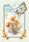 Preview: Reddy Cards Karten mit Wildblumen transparent, Set mit 12 Karten