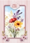 Preview: Reddy Cards Karten mit Wildblumen transparent, Set mit 12 Karten