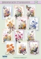 Preview: Reddy Cards Bastelset Wild Flowers 2