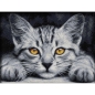 Preview: Artibalta AZ-1807 - Diamond Painting Yellow Eyed Kitten