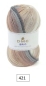Preview: DMC Brio 100 Gramm Farbe 421