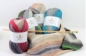 Preview: DMC Brio 100 Gramm Farbe 423