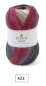 Preview: DMC Brio 100 Gramm Farbe 423
