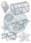 Preview: Craft Consortium Clear Stamp Transparenter Stempel Sea & Shore