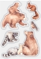 Preview: Craft Consortium Clear Stamp Transparenter Stempel In the Forest Bear