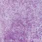 Preview: Cosmic Shimmer Pixie Sparkles Purple Affair 30 ml