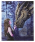 Preview: Craft Buddy CAK-AST5 Framed Crystal Art Holzrahmen Anne Stokes Once Upon A Time
