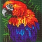 Preview: Craft Buddy CAK-A85 Framed Crystal Art Holzrahmen 30 x 30 cm Tropical Bird