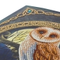 Preview: Craft Buddy CCKXL-1 Giant Crystal Art Card 21 x 29 cm Spell Keeper Owl
