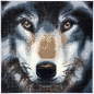 Preview: Craft Buddy CAK-A91M Framed Crystal Art Holzrahmen Wolf