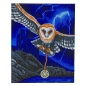 Preview: Craft Buddy CAK-XLED18 Framed LED Crystal Art Holzrahmen Heart of the Storm Owl