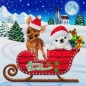 Preview: Craft Buddy CCK-XM38 Crystal Card Kit Sled Characters