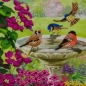 Preview: Craft Buddy CCK-A50 Crystal Card Kit Birds