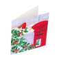 Preview: Craft Buddy CCK-XM56 Crystal Card Kit Robin & Postbox