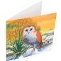 Preview: Craft Buddy CCK-XM60 Crystal Card Kit Winter Owl