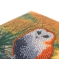 Preview: Craft Buddy CCK-XM60 Crystal Card Kit Winter Owl