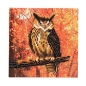 Preview: Craft Buddy CCK-A10 Crystal Art Card 18 x 18 cm Autumn Owl