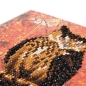 Preview: Craft Buddy CCK-A10 Crystal Art Card 18 x 18 cm Autumn Owl