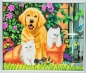 Preview: Crystal Art Kristallkunst Bilderrahmen mit silberfarbigem Rahmen CAM-11 Cat and Dog, Friends for Life