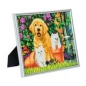 Preview: Crystal Art Kristallkunst Bilderrahmen mit silberfarbigem Rahmen CAM-11 Cat and Dog, Friends for Life