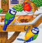 Preview: Craft Buddy CAK-A120M Framed Crystal Art Holzrahmen Hungry Birds