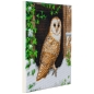 Preview: Craft Buddy CAK-A121M Framed Crystal Art Holzrahmen Snowy Owls