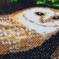 Preview: Craft Buddy CAK-A121M Framed Crystal Art Holzrahmen Snowy Owls