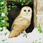 Preview: Craft Buddy CAK-A121M Framed Crystal Art Holzrahmen Snowy Owls
