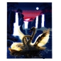 Preview: Craft Buddy CAK-XLED7 Framed LED Crystal Art Holzrahmen Moonlight Swans