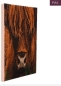 Preview: Craft Buddy CAK-A165M Framed Crystal Art Holzrahmen Highland Cow