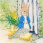 Preview: Craft Buddy CCK-PRBT04 Crystal Art Card Peter Rabbit and Chicks