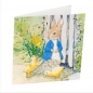 Preview: Craft Buddy CCK-PRBT04 Crystal Art Card Peter Rabbit and Chicks