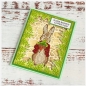 Preview: Craft Buddy CCST-PR03 A6 Clear Stamp Transparente Stempel Peter Rabbit