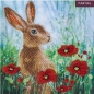 Preview: Craft Buddy CCK-A101 Crystal Art Card 18 x 18 cm Wild Poppies and the Hare