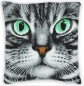 Preview: Craft Buddy CA-CKT2 Crystal Art Cushion Kit 30 x 30 cm Sharon