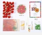 Preview: Craftbuddy LH02-POIN Latch Hook Rug Kit Knüpfen Kissen Poinsettia
