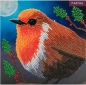 Preview: Craft Buddy CCK-XM104 Crystal Art Card 18 x 18 cm Robin