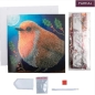 Preview: Craft Buddy CCK-XM104 Crystal Art Card 18 x 18 cm Robin