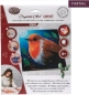 Preview: Craft Buddy CCK-XM104 Crystal Art Card 18 x 18 cm Robin